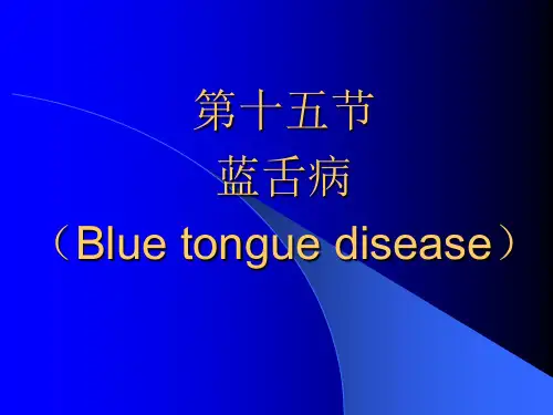 家畜传染病学(反刍动物疾病)23 蓝舌病blue tongue