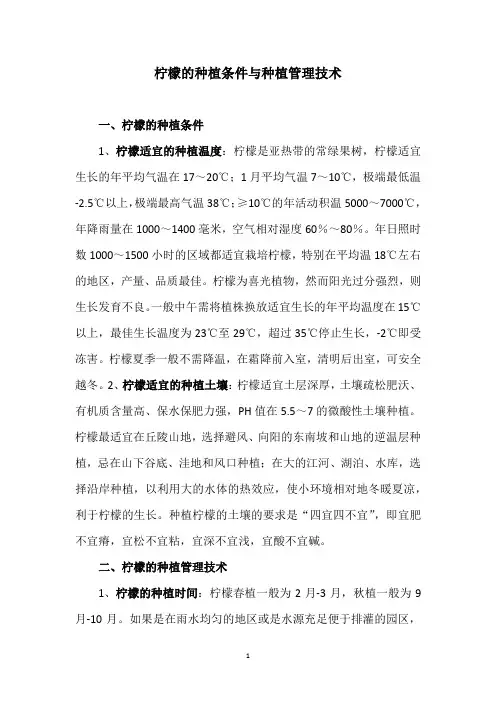 柠檬的种植条件与种植管理技术