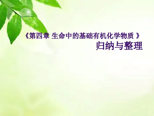 人教版高中化学选修五第四章第三节蛋白质和氨基酸教学课件