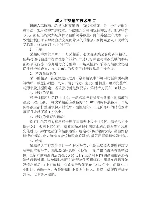猪人工授精的技术要点