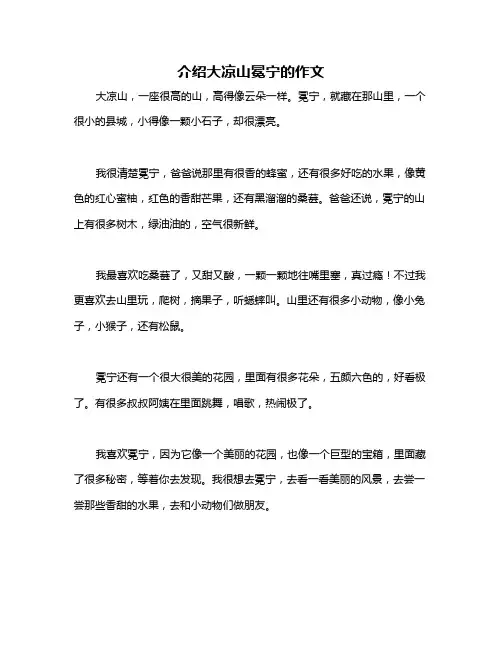 介绍大凉山冕宁的作文
