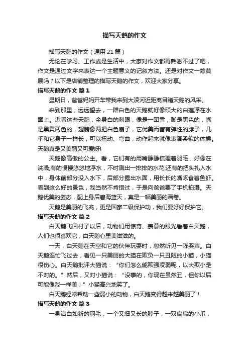 描写天鹅的作文