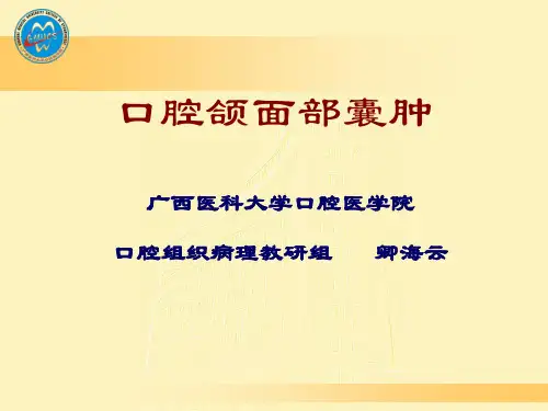 第十七章 口腔颌面部囊肿 医学技术PPT