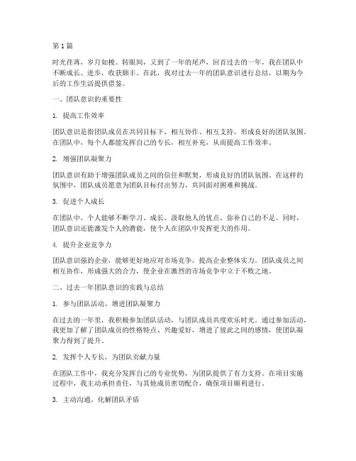 年度个人总结团队意识(3篇)