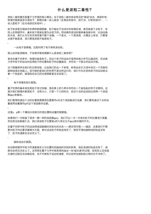 什么是波粒二象性？