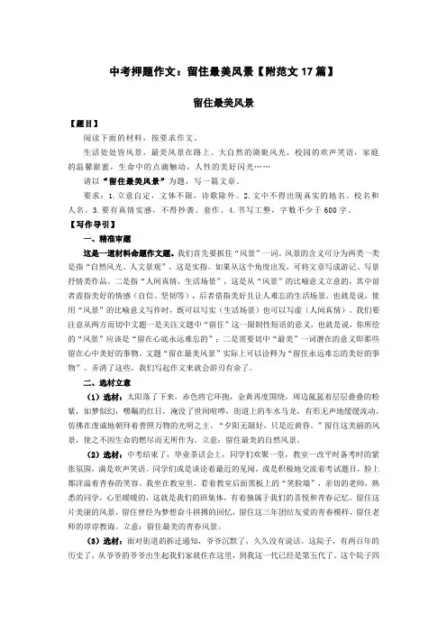 中考押题作文：留住最美风景【附范文17篇】