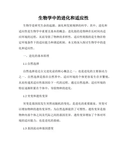 生物学中的进化和适应性