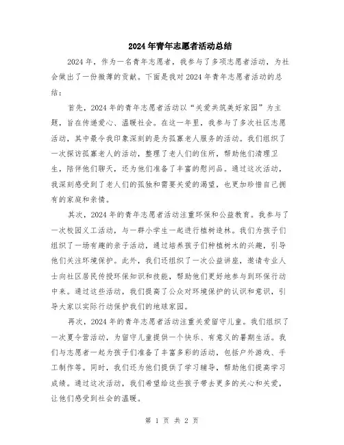 2024年青年志愿者活动总结