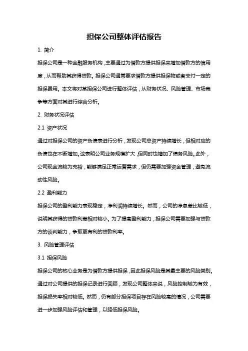 担保公司整体评估报告