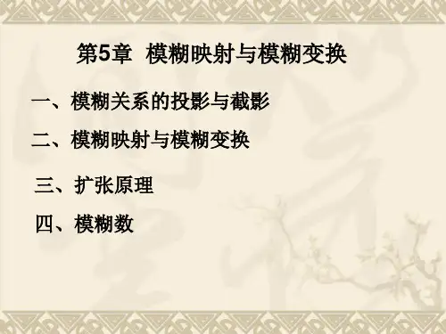 第5章 模糊映射及模糊变换