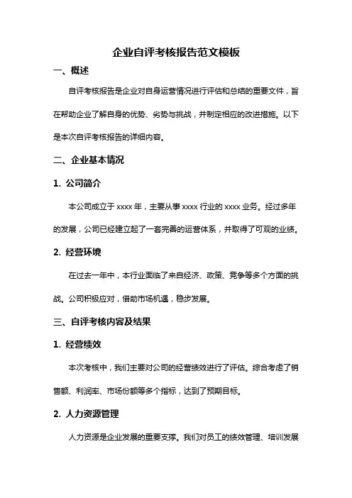 企业自评考核报告范文模板