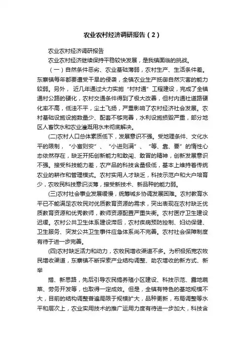 农业农村经济调研报告（2）