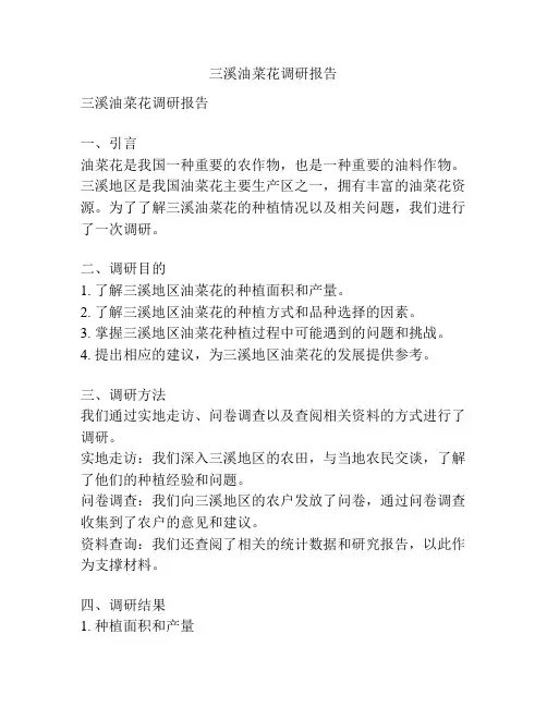 三溪油菜花调研报告