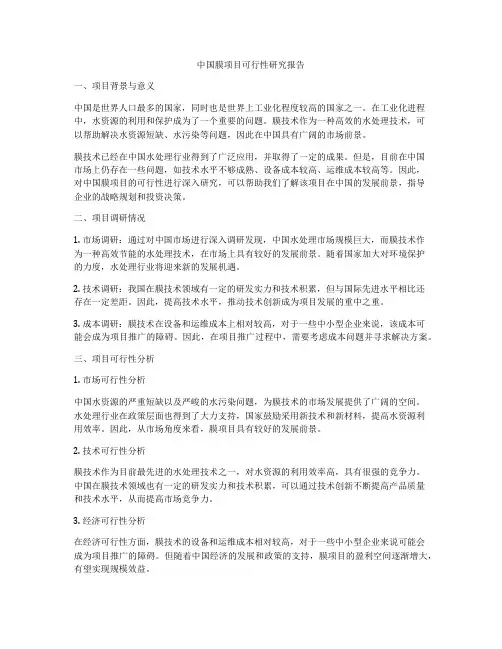 中国膜项目可行性研究报告