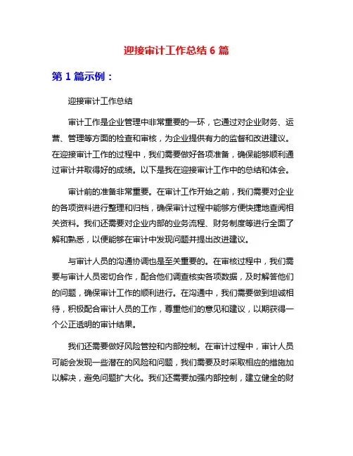 迎接审计工作总结6篇