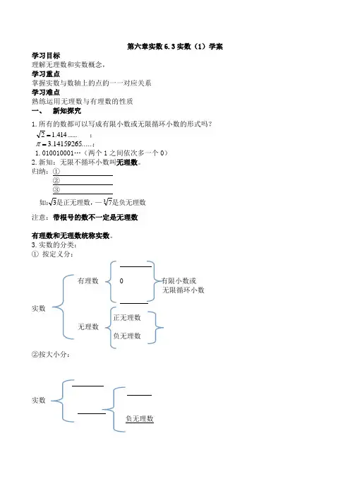 人教版七年级下册 第六章实数 6.3实数(1) 学案 导学案