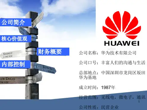 华为内部控制分析ppt课件