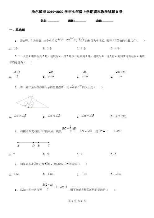 哈尔滨市2019-2020学年七年级上学期期末数学试题D卷