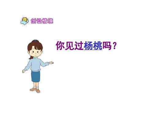 11《画杨桃》课件PPT