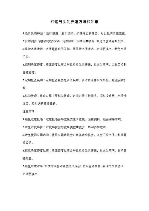 红运当头的养殖方法和注意