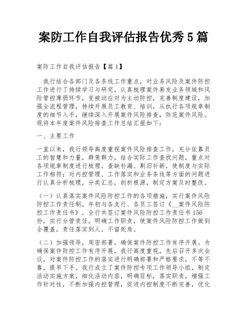 案防工作自我评估报告优秀5篇
