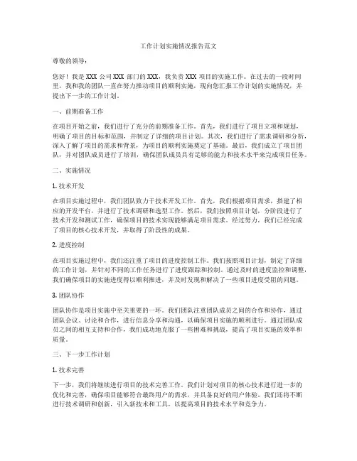 工作计划实施情况报告范文