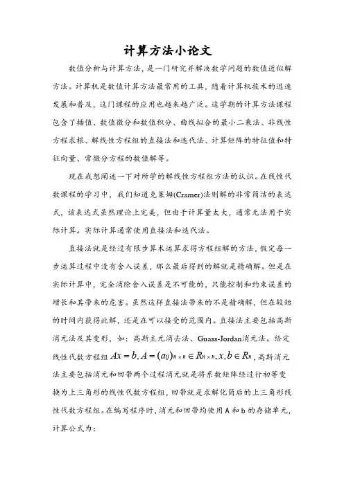 计算方法小论文