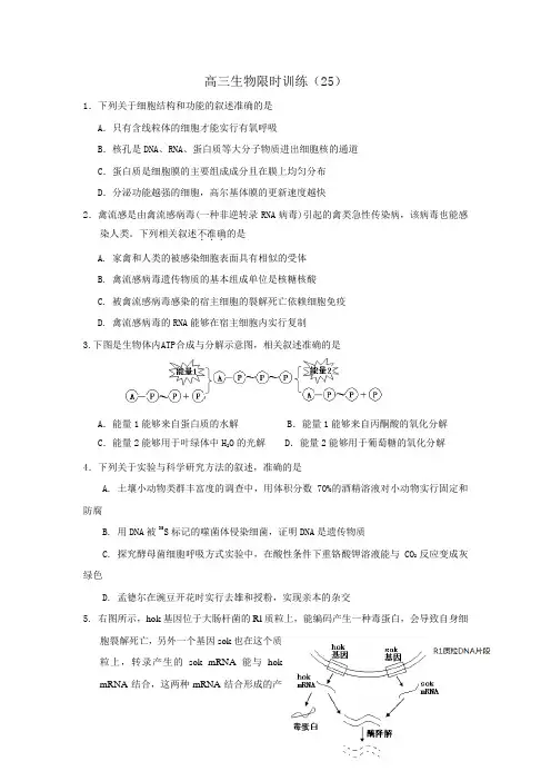 高三生物限时训练(25)