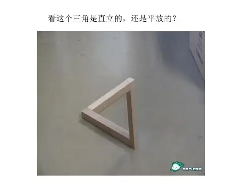 视觉效果图