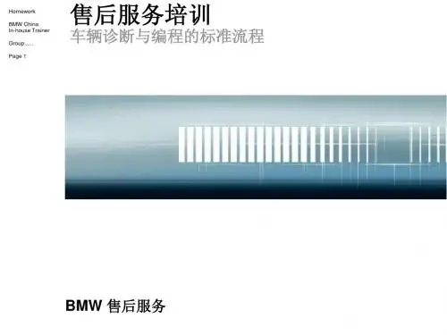 车辆诊断与编程的标准流程_68932_P