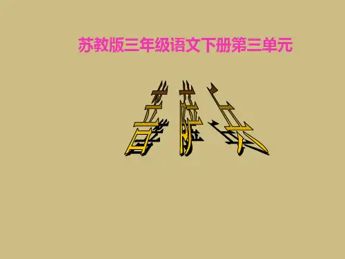 苏教版语文三年级下册：3.7 菩萨兵 课件 (1)(共13张PPT)