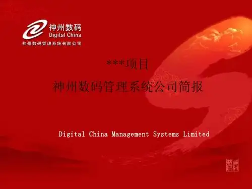 神州数码ERP