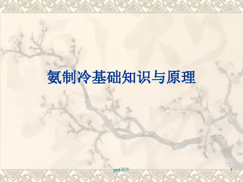 氨制冷基础知识与原理  ppt课件