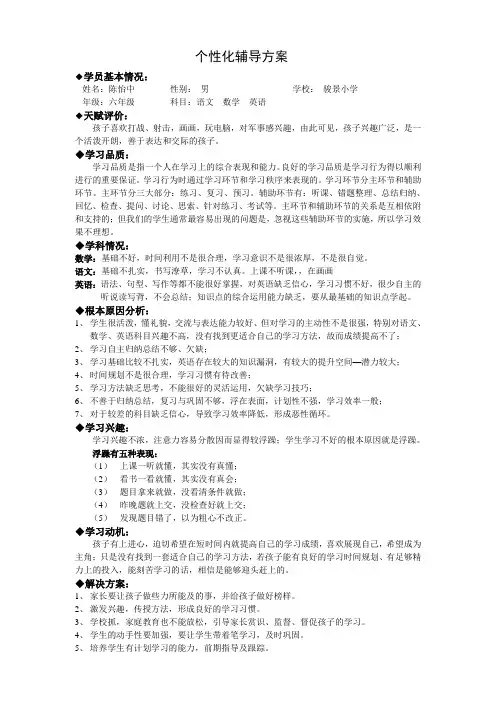 一对一个性化辅导方案模板