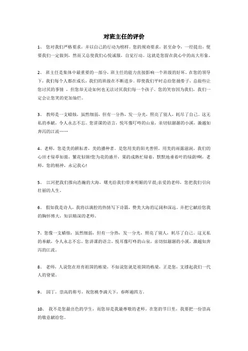 对班主任的评价