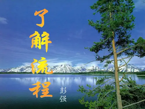 了解流程新PPT课件