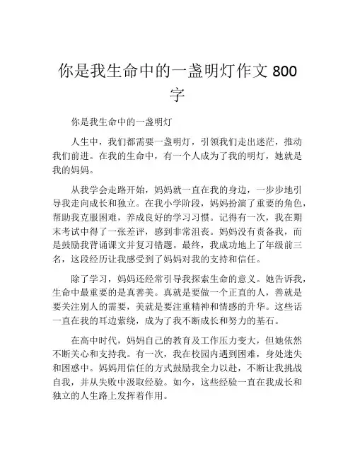 你是我生命中的一盏明灯作文800字