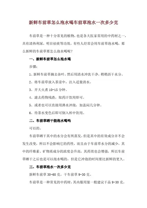 新鲜车前草怎么泡水喝 车前草泡水一次多少克