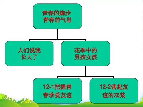 七年级政治下册12-1把握青春珍爱友谊课件鲁教版