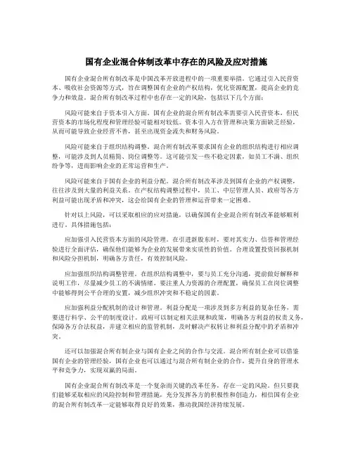 国有企业混合体制改革中存在的风险及应对措施