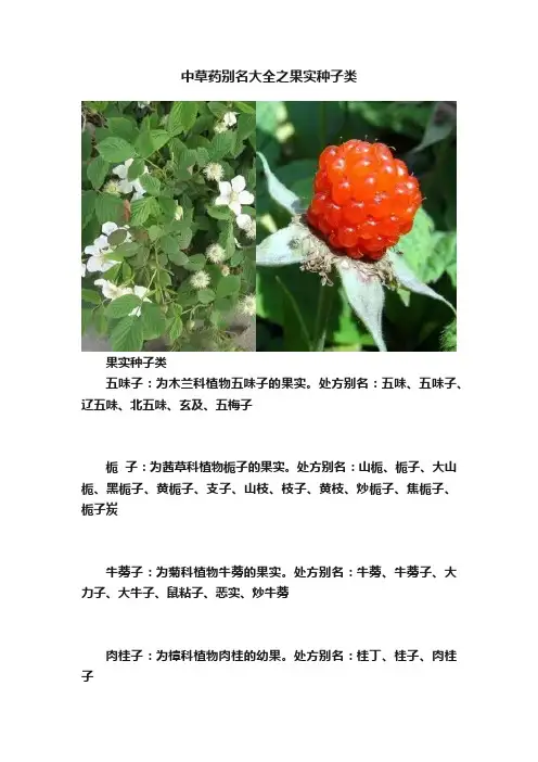 中草药别名大全之果实种子类