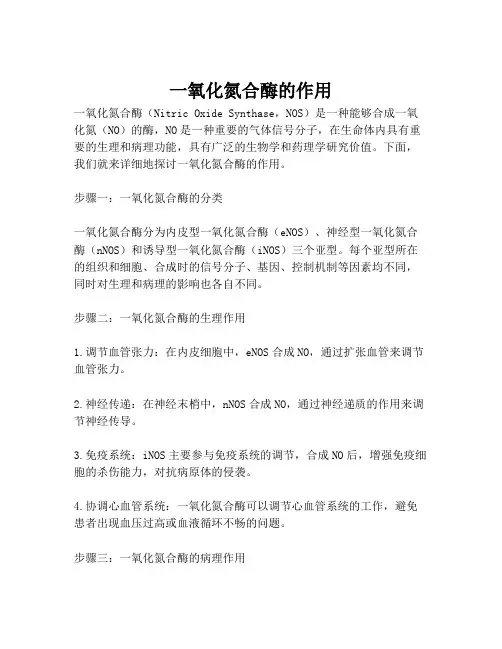 一氧化氮合酶的作用