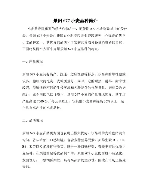 景阳677小麦品种简介