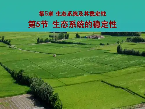 人教版高中生物必修三第5章第5节--生态系统的稳定性--课件(共36张PPT)