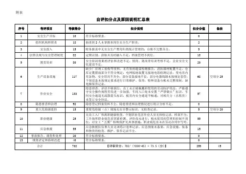 自评扣分点及原因说明汇总表