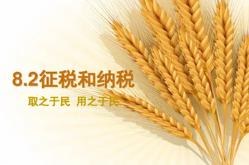 人教版高中政治必修一8.2征税和纳税课件(共16张PPT)