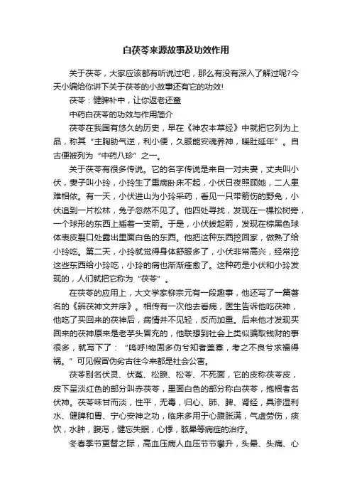 白茯苓来源故事及功效作用