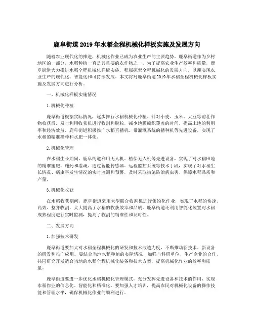 鹿阜街道2019年水稻全程机械化样板实施及发展方向