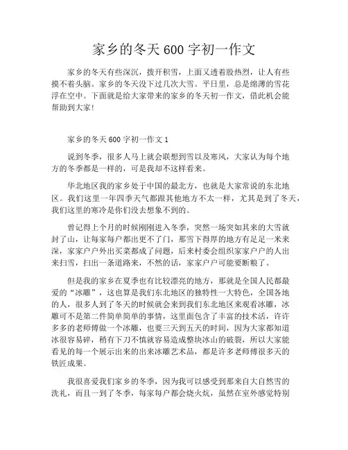 家乡的冬天600字初一作文