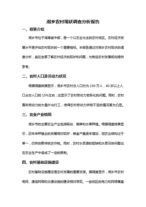 湘乡农村现状调查分析报告